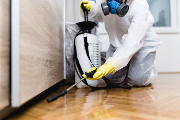 Best Pest Inspection Near Me  in Homer, MI