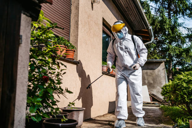 Best Flea Control Services  in Homer, MI