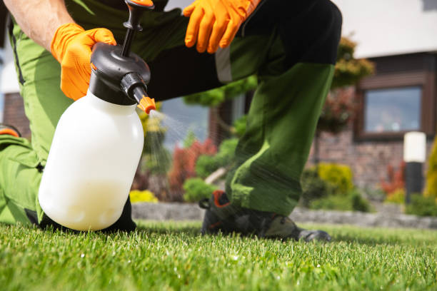 Best Pest Removal Services  in Homer, MI