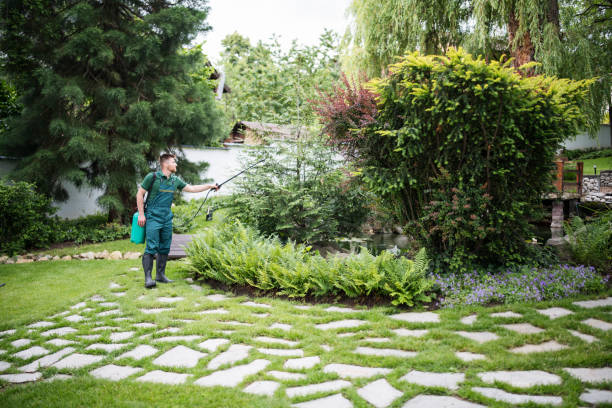 Wildlife Control Services in Homer, MI