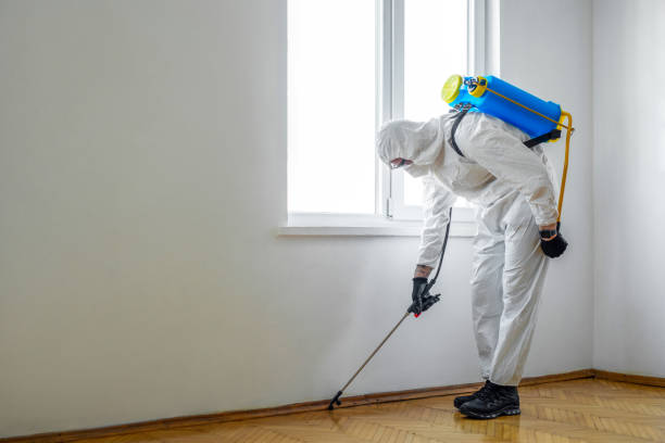 Best Wildlife Control Services  in Homer, MI