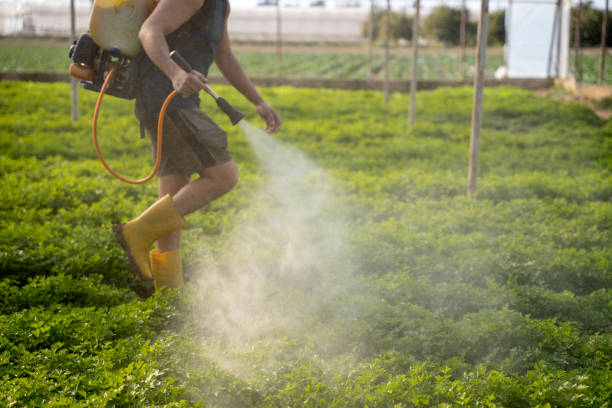 Best Pest Removal Services  in Homer, MI