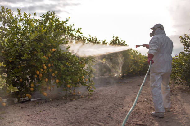 Best Exterminator Services  in Homer, MI