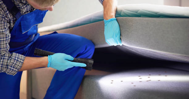 Best Best Pest Control Companies  in Homer, MI