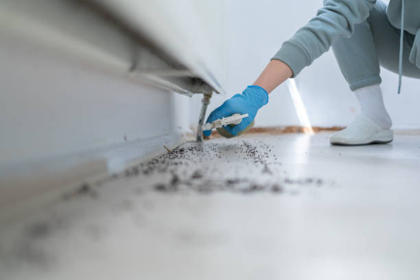 Best Cockroach Control Services  in Homer, MI